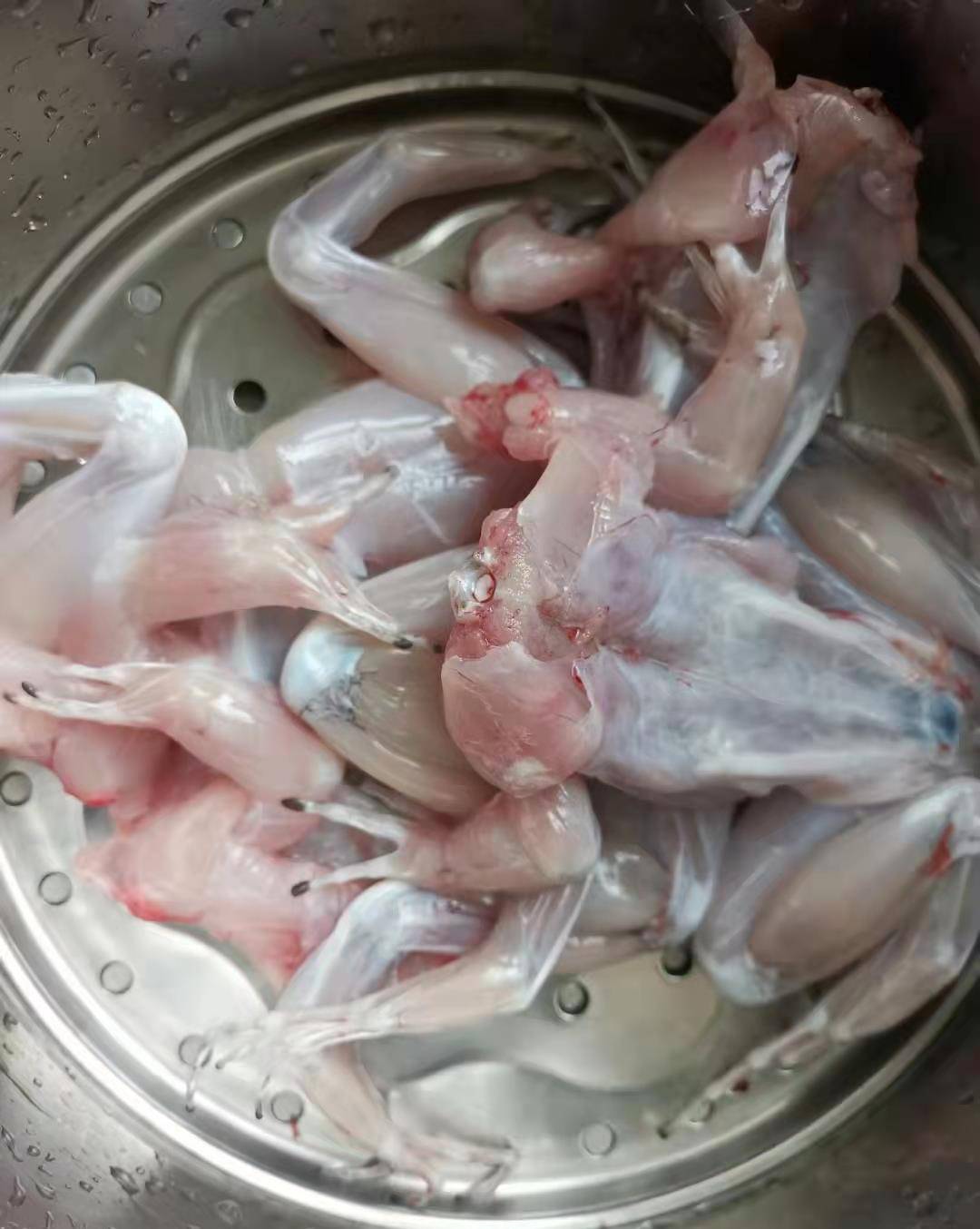 紫蘇牛蛙家常做法
