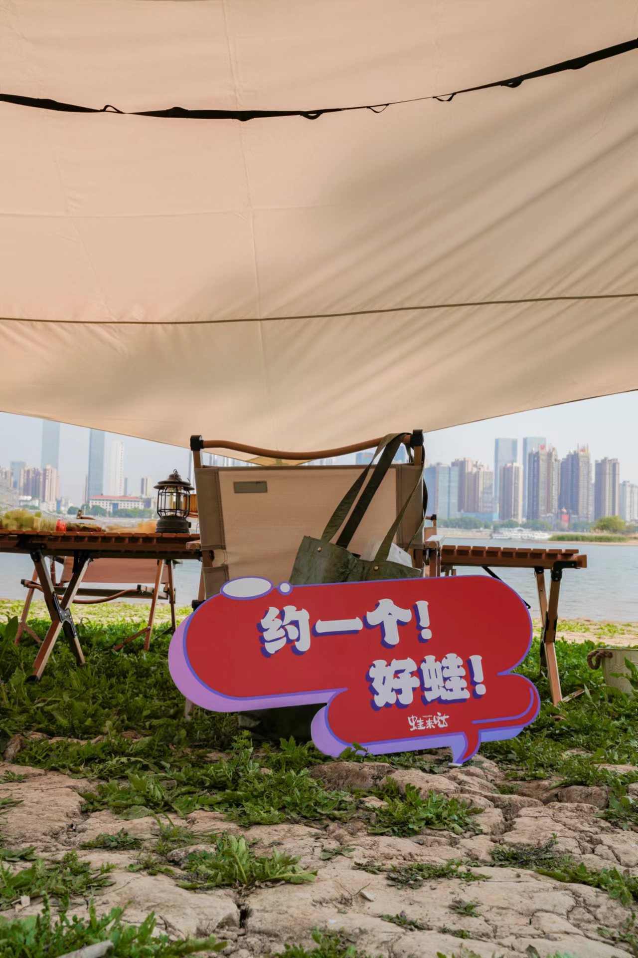 蛙來噠