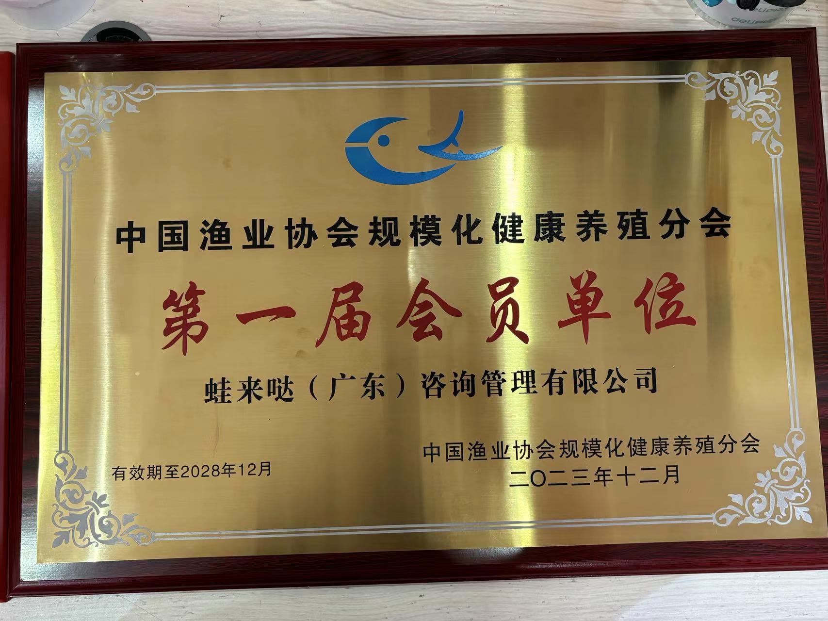 蛙來噠