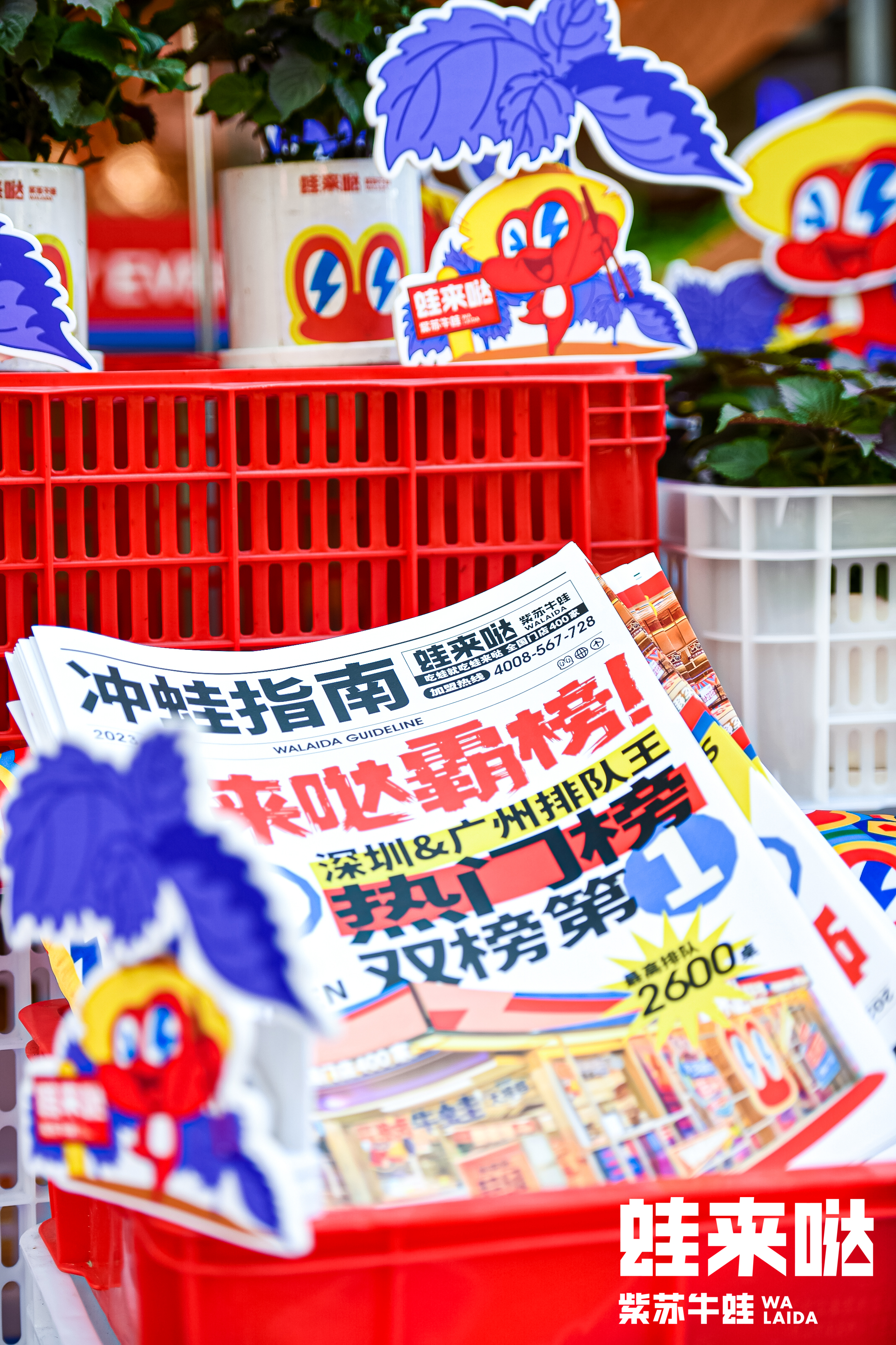 蛙來噠