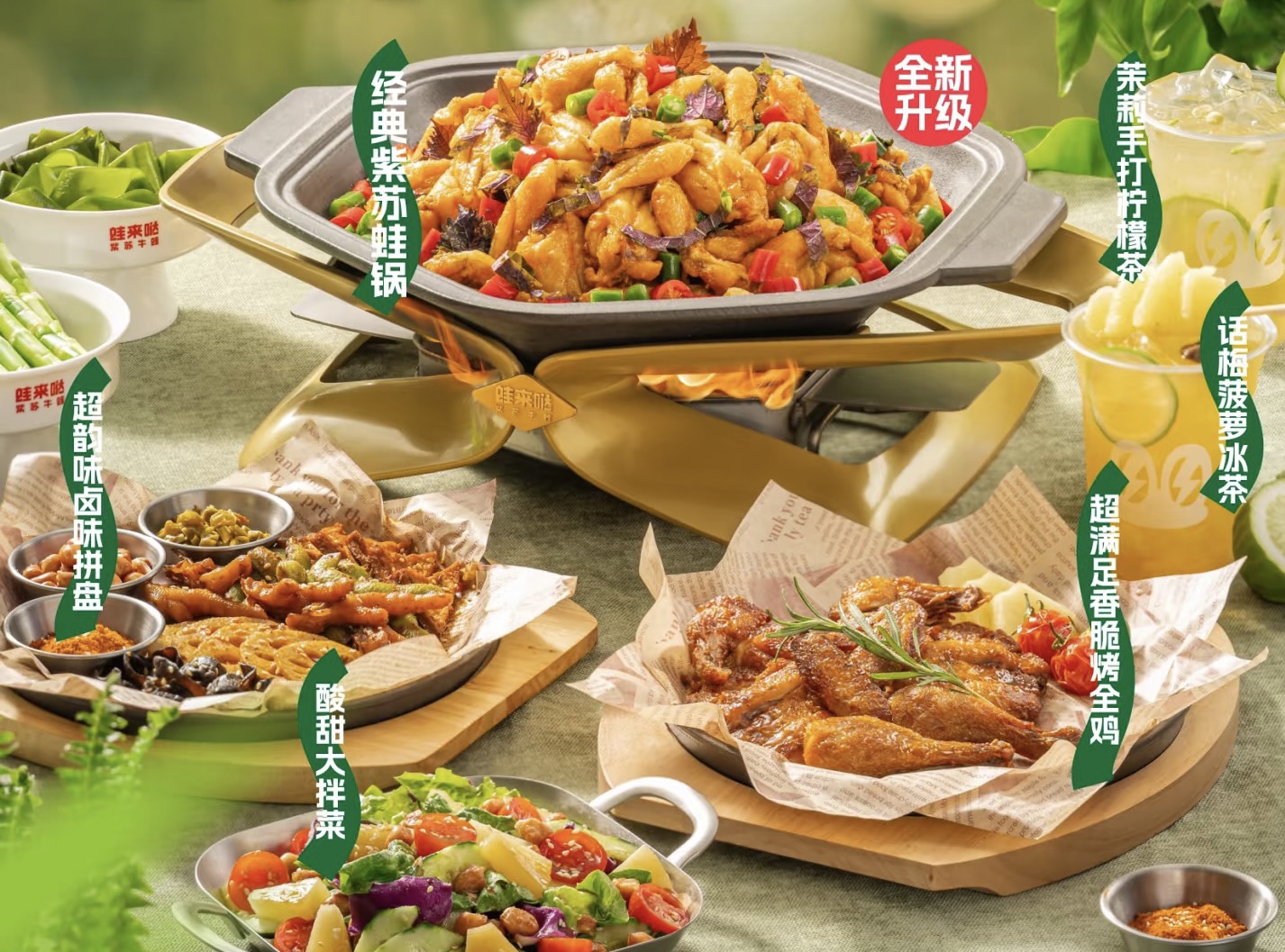 蛙來噠