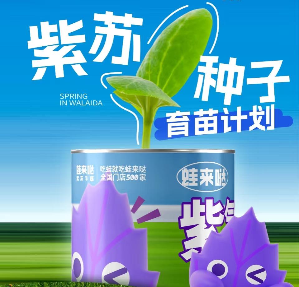 蛙來噠