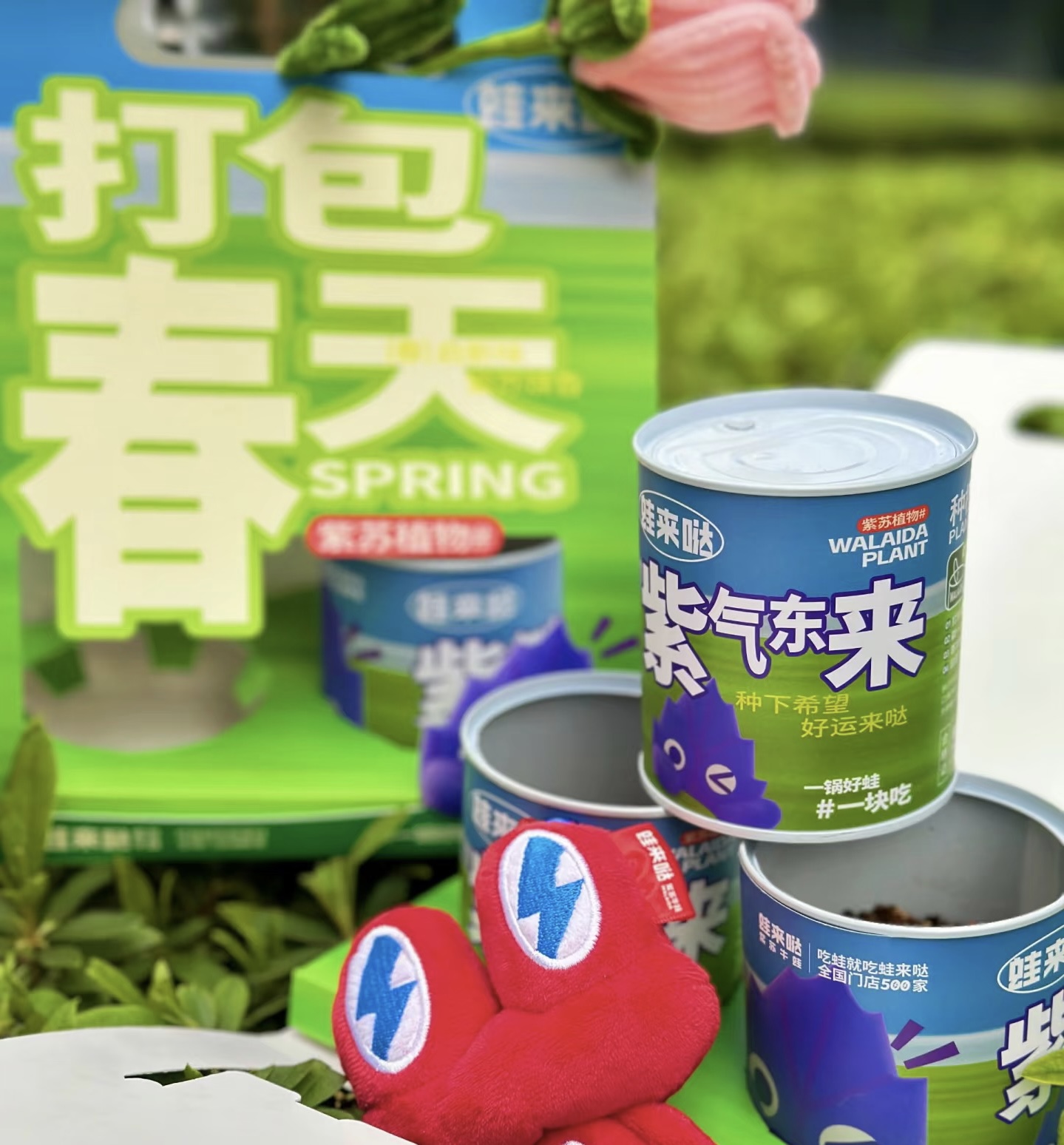 蛙來噠